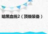 暗黑血统2（顶级装备）