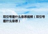 双引号是什么意思视频（双引号是什么意思）