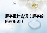 拆字组什么词（拆字的所有组词）