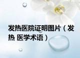 发热医院证明图片（发热 医学术语）