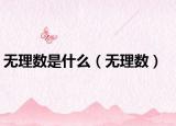 无理数是什么（无理数）