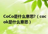 CoCo是什么意思?（cocok是什么意思）