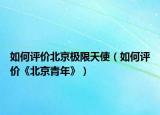 如何评价北京极限天使（如何评价《北京青年》）