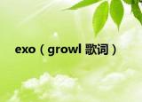 exo（growl 歌词）