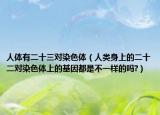 人体有二十三对染色体（人类身上的二十二对染色体上的基因都是不一样的吗?）