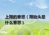 上翔的意思（翔抬头是什么意思）
