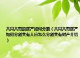 共同共有的房产如何分割（共同共有房产如何分割共有人应怎么分割共有财产介绍）