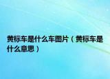 黄标车是什么车图片（黄标车是什么意思）