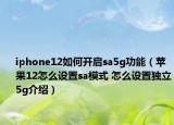 iphone12如何开启sa5g功能（苹果12怎么设置sa模式 怎么设置独立5g介绍）