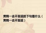 黄鹤一去不复返的下句是什么（黄鹤一去不复返）