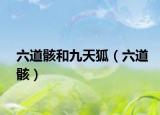 六道骸和九天狐（六道骸）