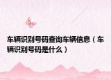 车辆识别号码查询车辆信息（车辆识别号码是什么）