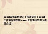 excel表格如何显示工作表标签（excel工作表标签在哪 excel工作表标签怎么设置介绍）