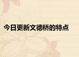 今日更新文德桥的特点