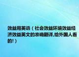 效益用英语（社会效益环境效益经济效益英文的准确翻译,给外国人看的!）