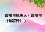 曹操与甄美人（曹操与《短歌行》）