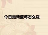 今日更新蓝莓怎么洗