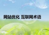 网站优化 互联网术语