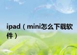 ipad（mini怎么下载软件）