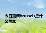 今日更新brussels是什么国家