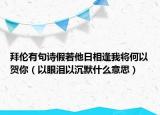 拜伦有句诗假若他日相逢我将何以贺你（以眼泪以沉默什么意思）
