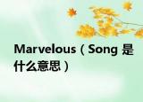 Marvelous（Song 是什么意思）