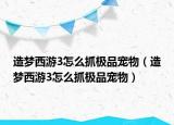 造梦西游3怎么抓极品宠物（造梦西游3怎么抓极品宠物）