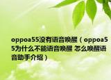 oppoa55没有语音唤醒（oppoa55为什么不能语音唤醒 怎么唤醒语音助手介绍）