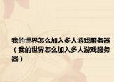 我的世界怎么加入多人游戏服务器（我的世界怎么加入多人游戏服务器）