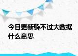 今日更新躲不过大数据什么意思