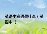 英语中宾语是什么（英语中 ）
