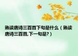 熟读唐诗三百首下句是什么（熟读唐诗三百首,下一句是?）
