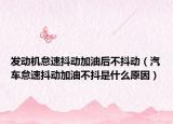 发动机怠速抖动加油后不抖动（汽车怠速抖动加油不抖是什么原因）