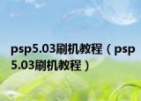 psp5.03刷机教程（psp5.03刷机教程）