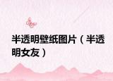 半透明壁纸图片（半透明女友）