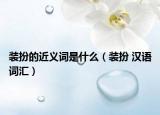 装扮的近义词是什么（装扮 汉语词汇）