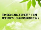 羊肚菌怎么看是不是变质了（羊肚菌煮出来为什么是红色的详细介绍）
