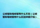 公螃蟹和母螃蟹有什么不同（公螃蟹和母螃蟹有什么区别详细介绍）