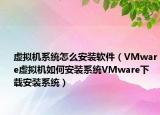 虚拟机系统怎么安装软件（VMware虚拟机如何安装系统VMware下载安装系统）