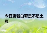 今日更新白薯是不是土豆