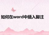 如何在word中插入脚注