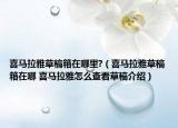 喜马拉雅草稿箱在哪里?（喜马拉雅草稿箱在哪 喜马拉雅怎么查看草稿介绍）
