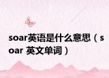 soar英语是什么意思（soar 英文单词）
