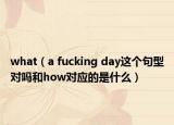 what（a fuсking day这个句型对吗和how对应的是什么）