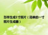 怎样生成1寸照片（简单的一寸照片生成器）