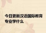 今日更新汉语国际教育专业学什么