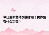 今日更新黄体酮的作用（黄体酮有什么功效）