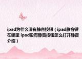 ipad为什么没有静音按钮（ipad静音键在哪里 ipad没有静音按钮怎么打开静音介绍）