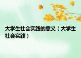 大学生社会实践的意义（大学生社会实践）