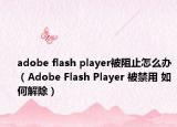 adobe flash player被阻止怎么办（Adobe Flash Player 被禁用 如何解除）